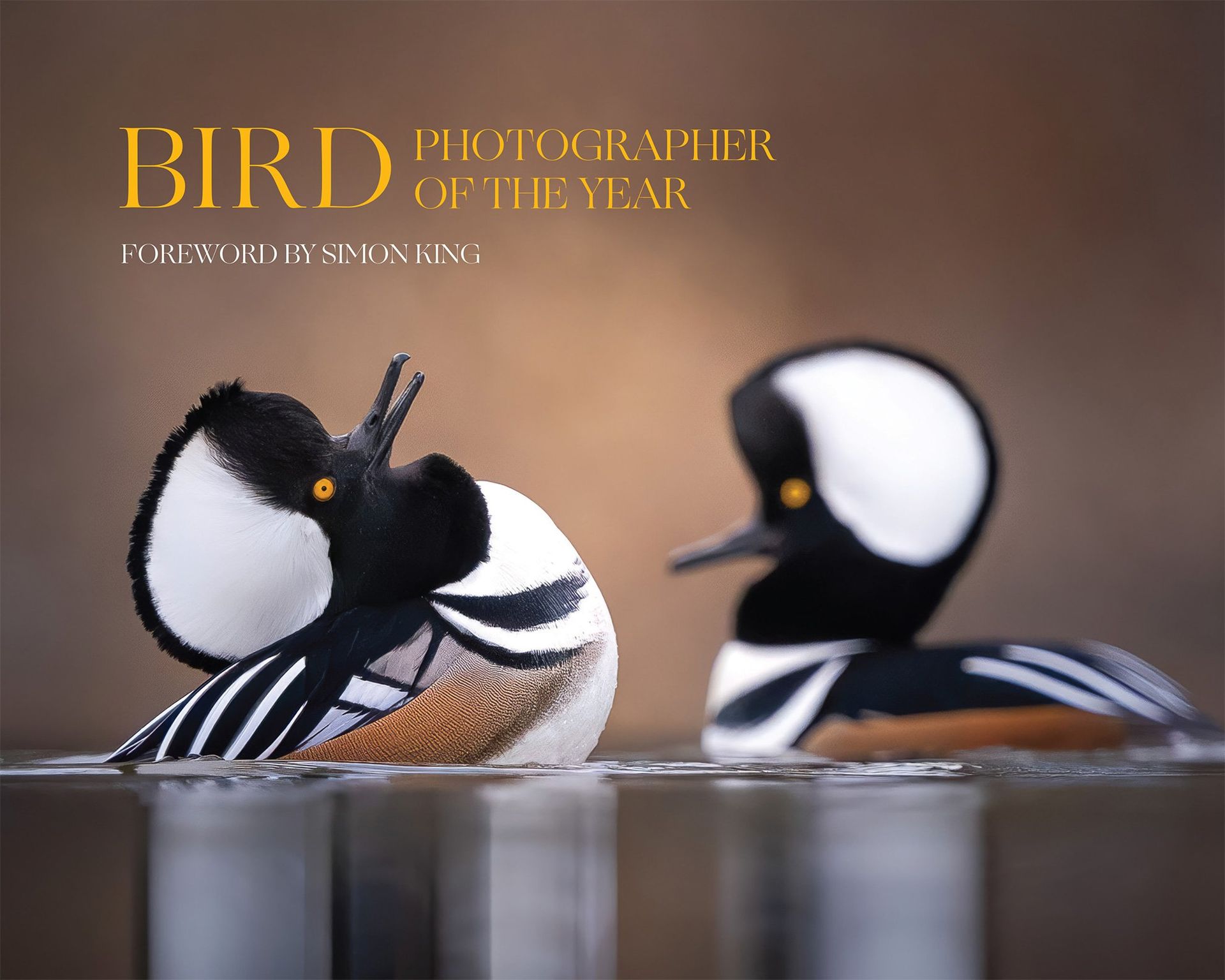 Bird Photographer of the Year Collection 9